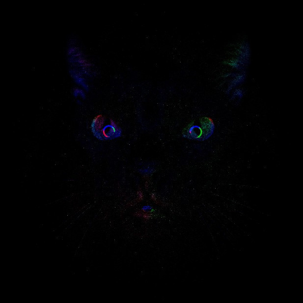 Animals. Креативный фотограф в Екатеринбурге Юлия Николотова