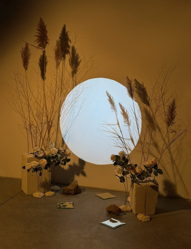 Studios Tbilisi. Фотограф, видеограф Пятигорск, Ставрополь, Ессентуки, Petlyakovs_photo