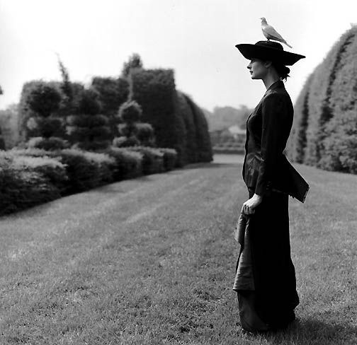 Композиция кадра. Семейный и свадебный фотограф в Майкопе Михаил Мартиросян