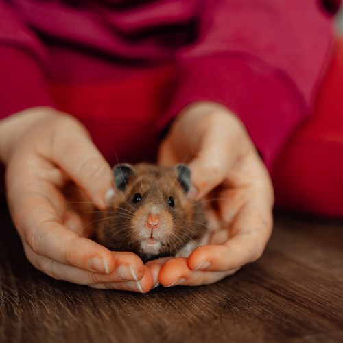 Личное. Фотограф Женя Пашкина