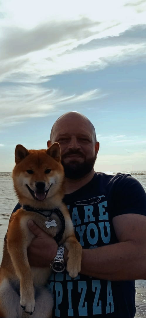 Сиба питомник RUBYLIGHT. Американская акита I Сиба ину I Питомник RUBYLIGHT