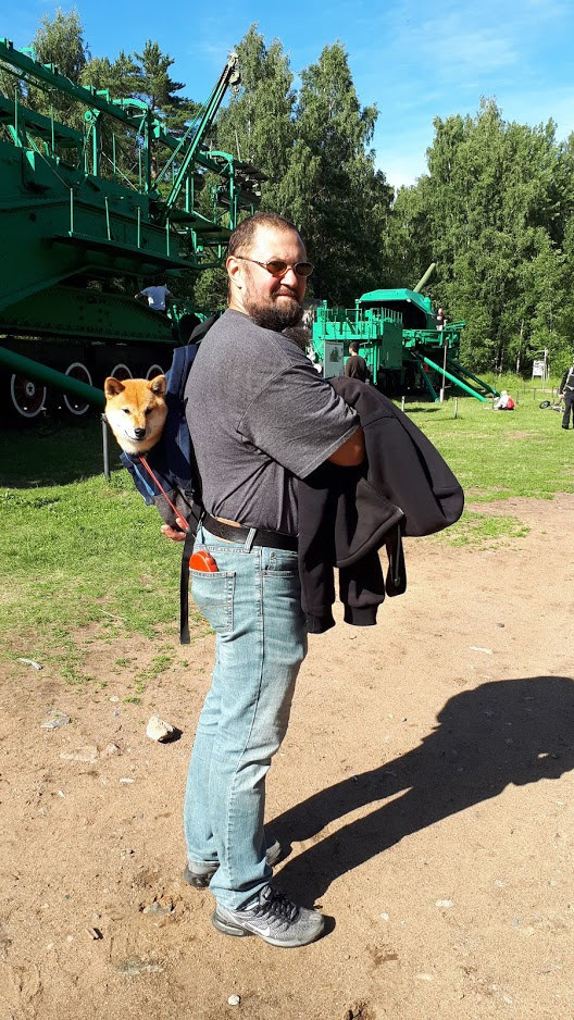 RUBYLIGHT DOLL * Долька (Отец: Хиро * HANDZIMEMESITE HIRO , Мать: Дэва * ZOLOTO PARTII DEVANA GODDESS OF HUNT) сиба