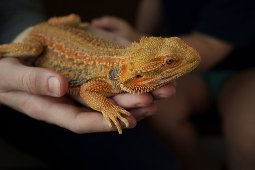 Личное. Фотограф Женя Пашкина