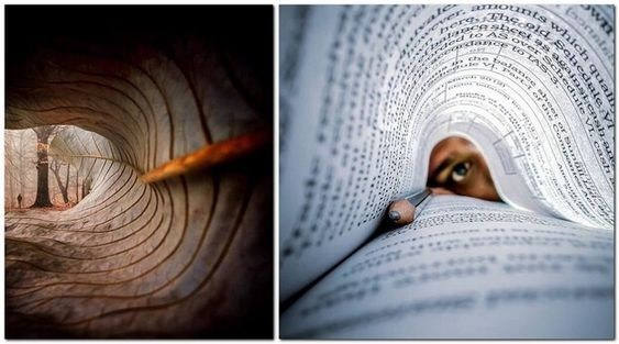 Композиция кадра. Семейный и свадебный фотограф в Майкопе Михаил Мартиросян