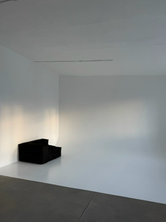 Фотостудия 12.03 зал 3. Фотограф Анастасия Евсеева |Белгород