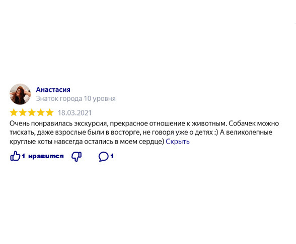 Катание на хаски в Спб