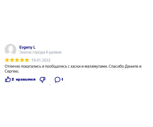 Катание на хаски в Спб