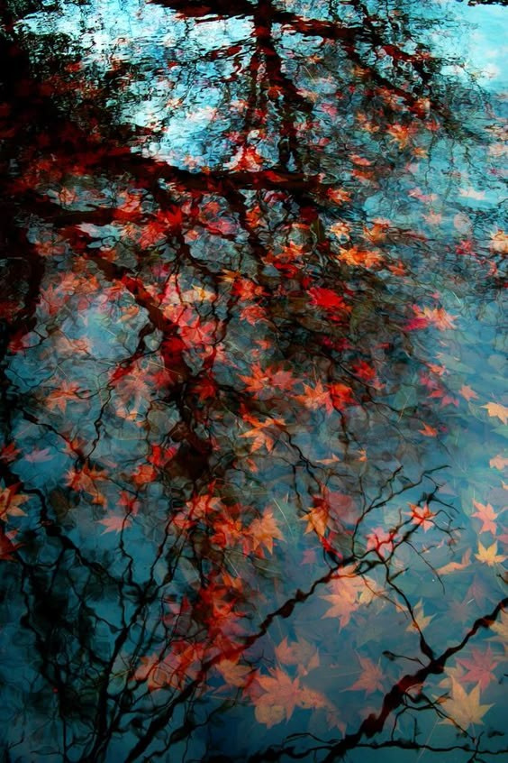 Композиция кадра. Семейный и свадебный фотограф в Майкопе Михаил Мартиросян