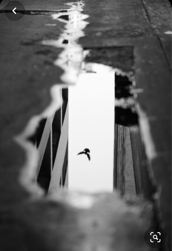 Композиция кадра. Семейный и свадебный фотограф в Майкопе Михаил Мартиросян