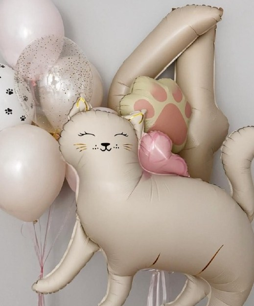 Девочке на день рождения с 4 до 17 лет. Аэродизайнер Елена Лин