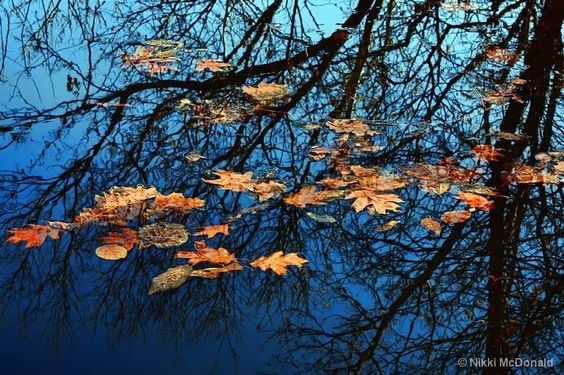Композиция кадра. Семейный и свадебный фотограф в Майкопе Михаил Мартиросян