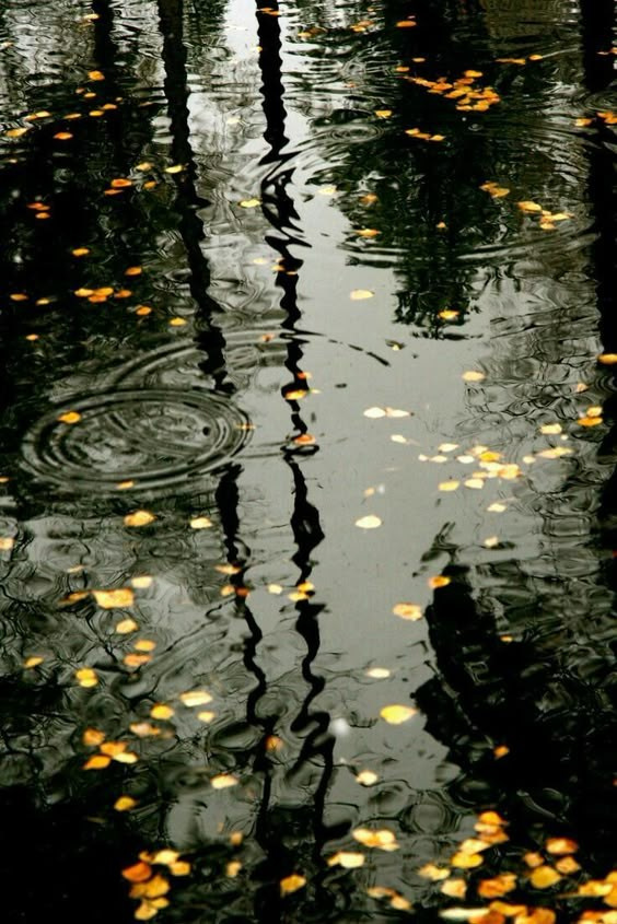 Композиция кадра. Семейный и свадебный фотограф в Майкопе Михаил Мартиросян