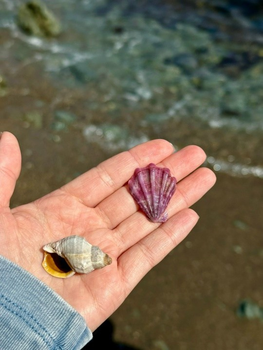 Обо мне. Фотограф-анималист в Краснодаре Маша Мельникова