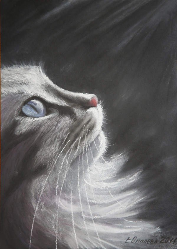 АНИМАЛИЗМ. Елена Опалева — художница. Москва