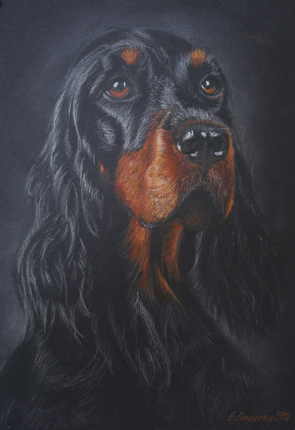 АНИМАЛИЗМ. Елена Опалева — художница. Москва