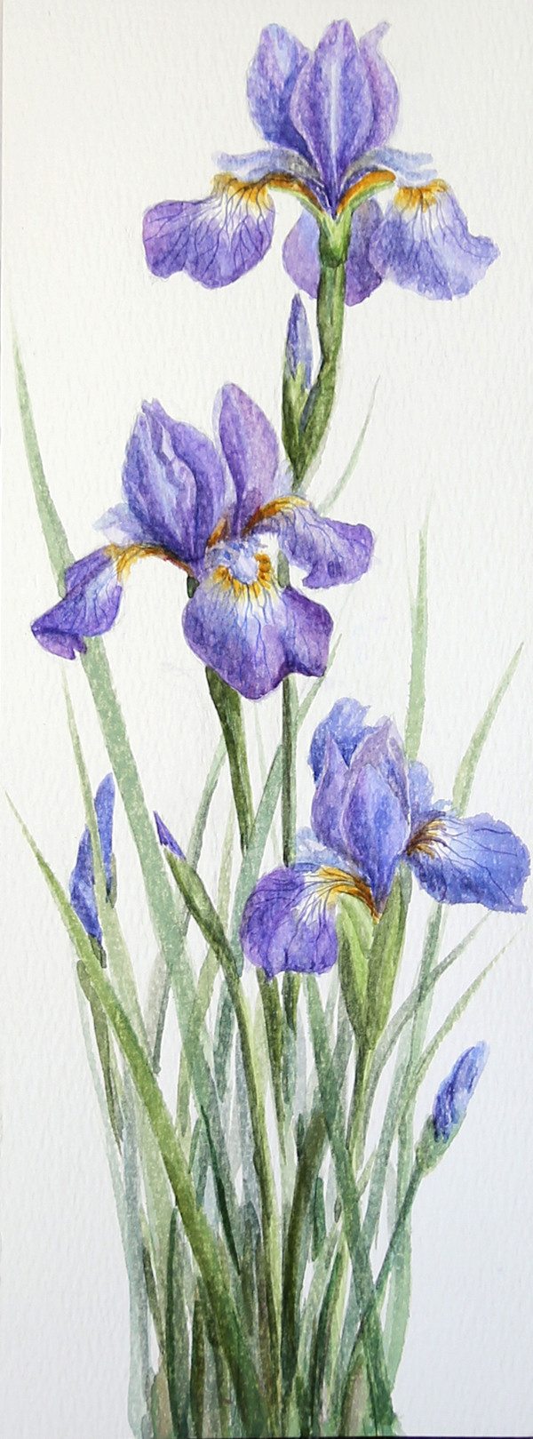 ЦВЕТЫ. Елена Опалева — художница. Москва