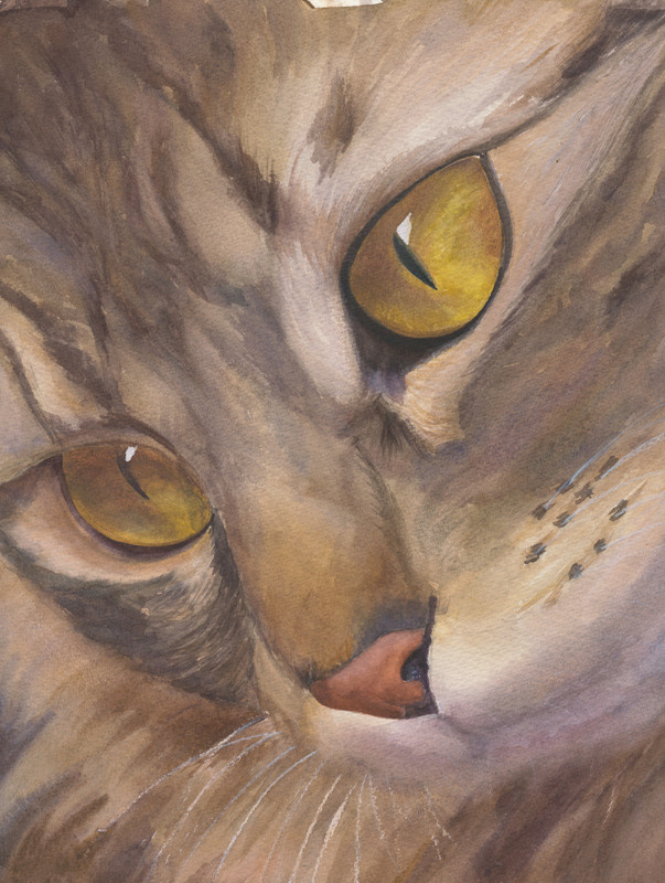 АНИМАЛИЗМ. Елена Опалева — художница. Москва