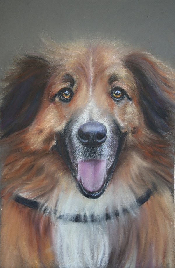 АНИМАЛИЗМ. Елена Опалева — художница. Москва