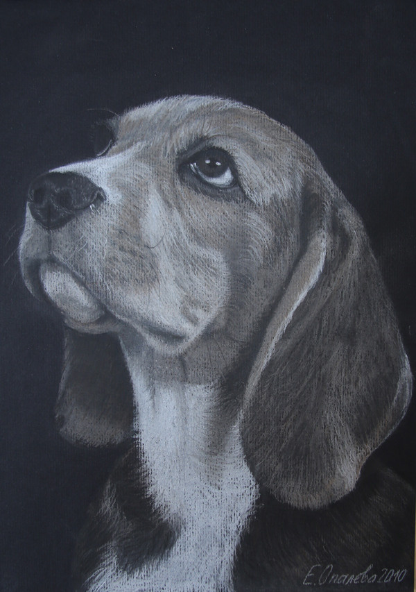 АНИМАЛИЗМ. Елена Опалева — художница. Москва