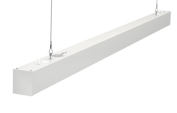 Декорактив Москва