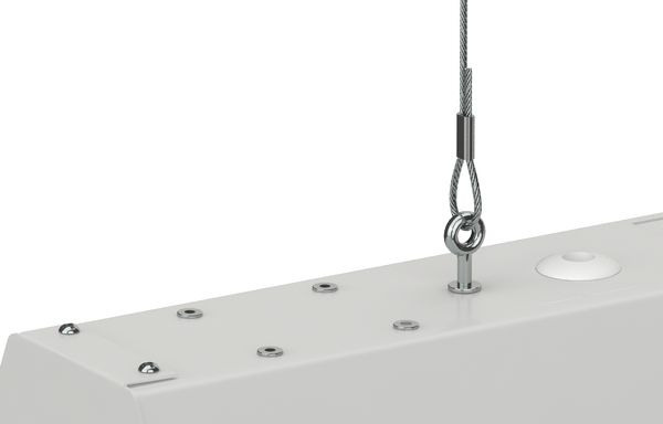 Декорактив Москва