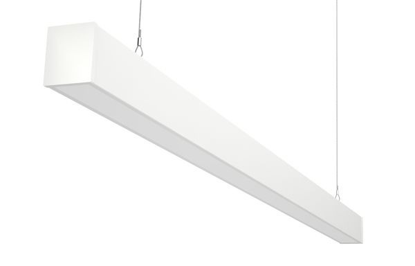 Декорактив Москва