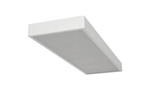 Декорактив Москва