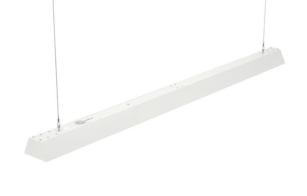 Декорактив Москва