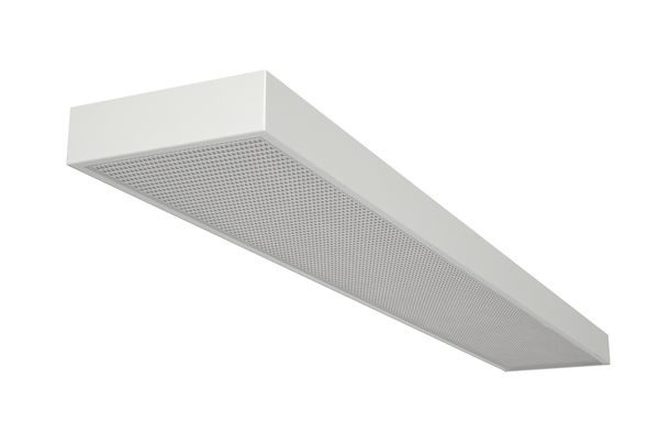 Декорактив Москва