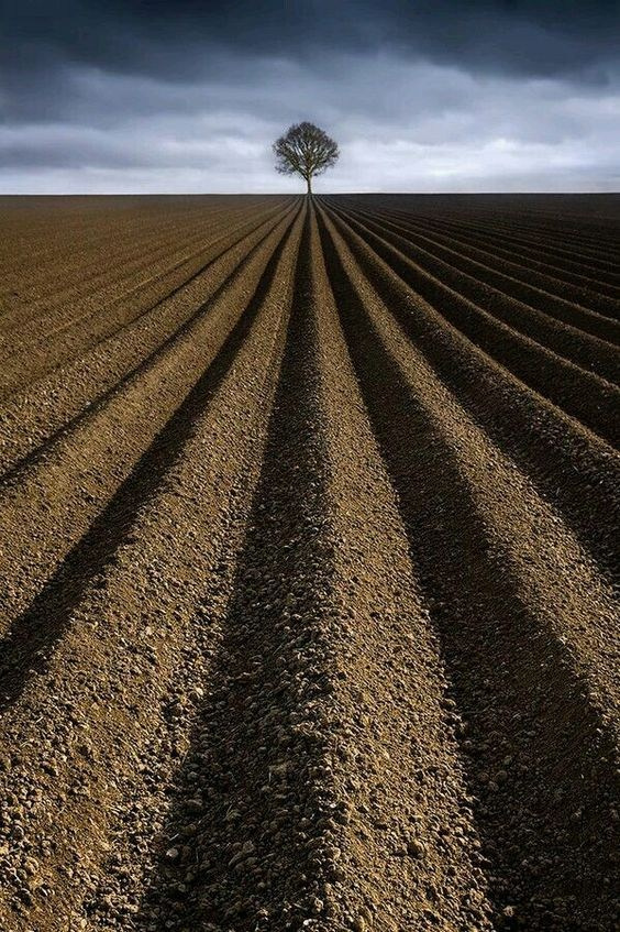Композиция кадра. Семейный и свадебный фотограф в Майкопе Михаил Мартиросян