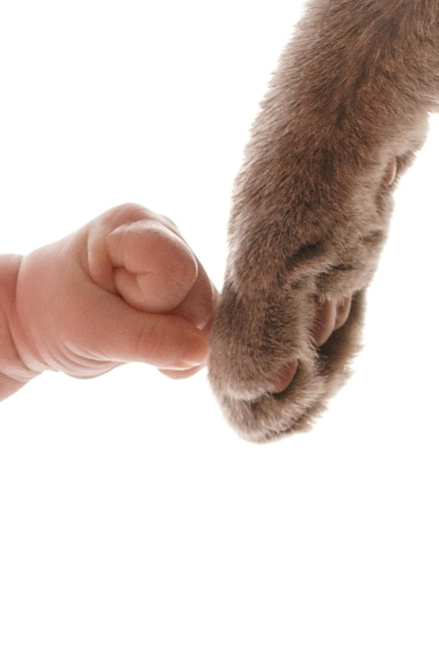 Лайф-съемка новорожденных | Первые семейные фото с малышом в Москве и МО. Фотосессия новорожденных в Москве и Московской области | Профессиональный фотограф newborn — Татьяна Иванова