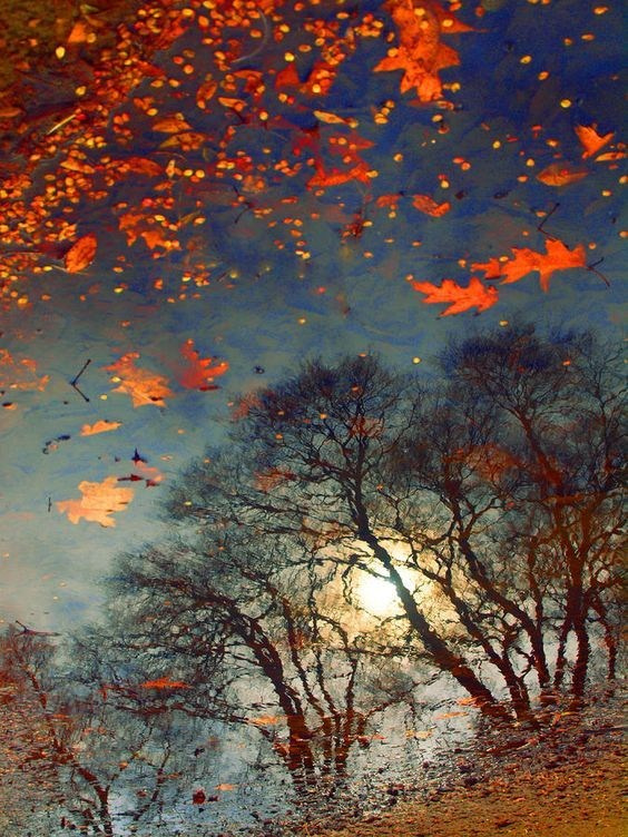 Композиция кадра. Семейный и свадебный фотограф в Майкопе Михаил Мартиросян