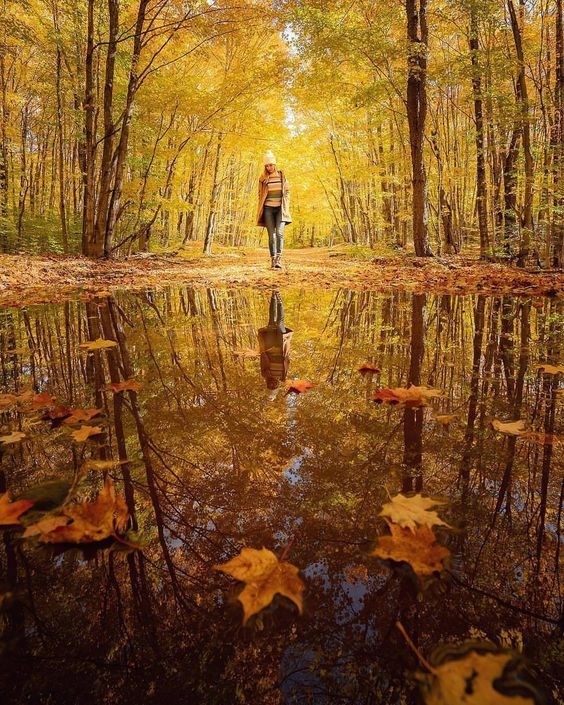 Композиция кадра. Семейный и свадебный фотограф в Майкопе Михаил Мартиросян