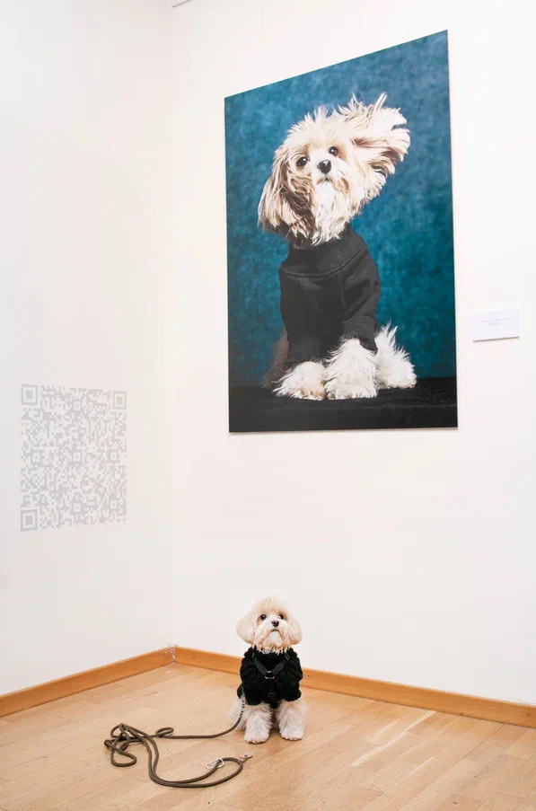 Выставка в Галерее Классической фотографии «У любви четыре лапы». Фотограф Михаил Стенин