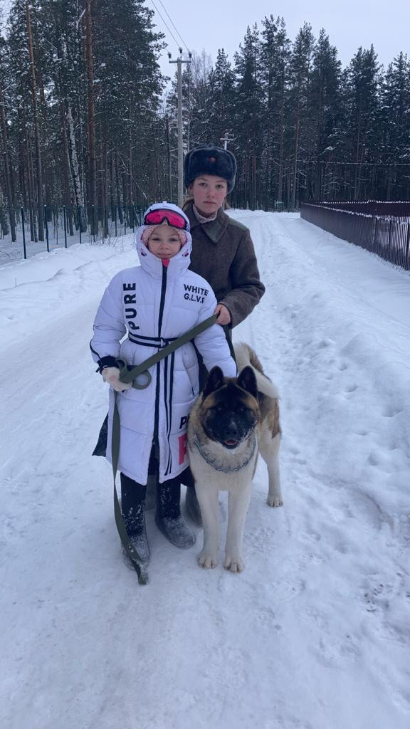 Бриз * ORSON UELLS американская акита