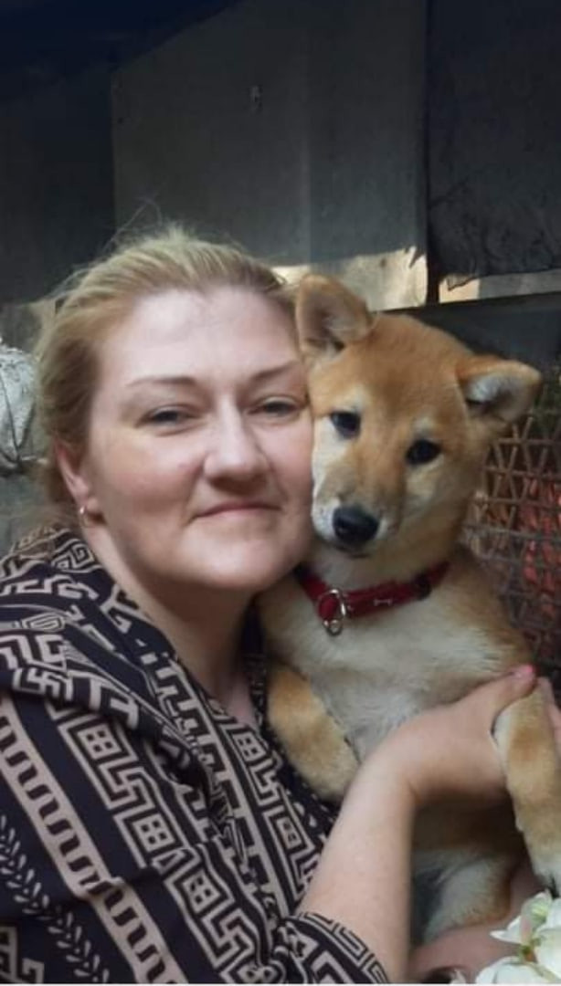 RUBYLIGHT JULY. AMERICAN AKITA RUBYLIGHT KENNEL I SHIBA-INU