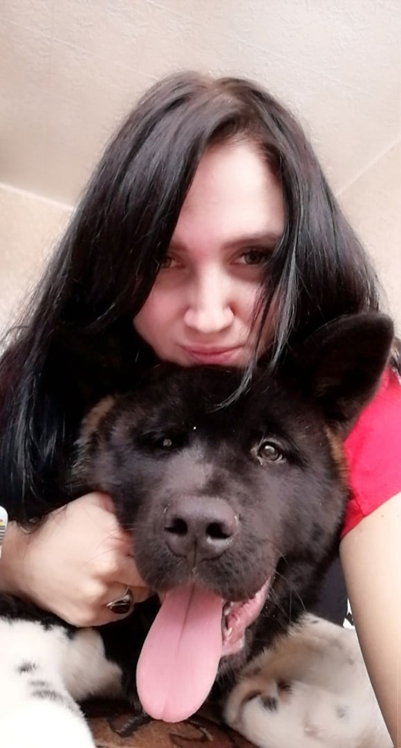 Rubylight Grom Американская акита питомник Рубилайт