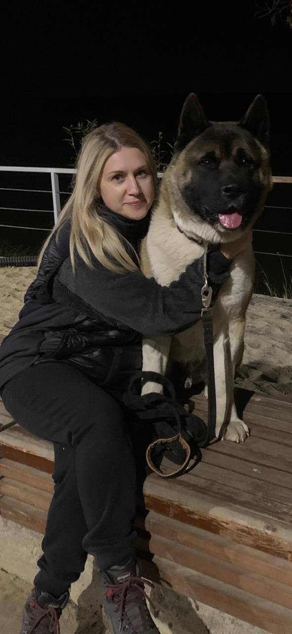 Американская акита питомник RUBYLIGHT. Американская акита I Сиба ину I Питомник RUBYLIGHT