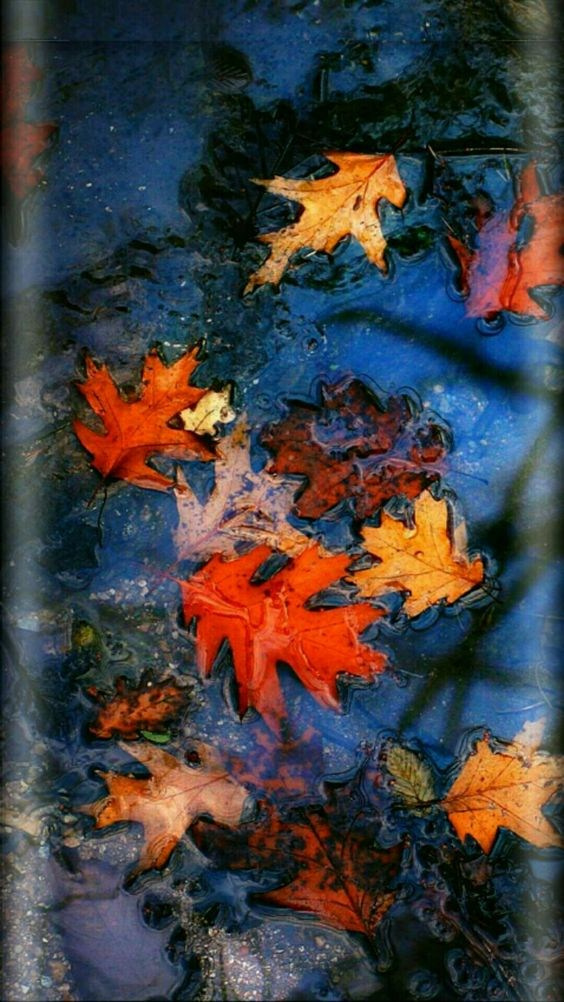 Композиция кадра. Семейный и свадебный фотограф в Майкопе Михаил Мартиросян