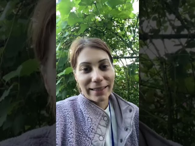 Отзывы. Юлиана Смешек, коуч, наставник экспертов и предпринимателей