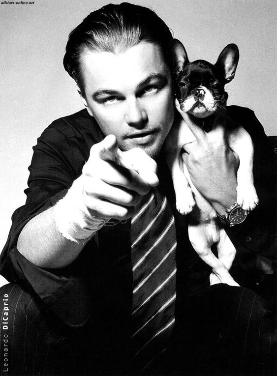 Мудборд «Рустим и мопс»