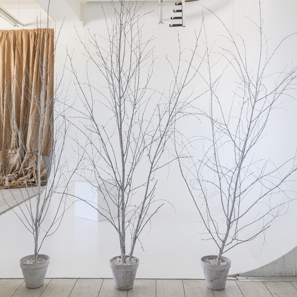 Студия Fotofabrika Оникс для предметной съемки Москва | Sale Easy