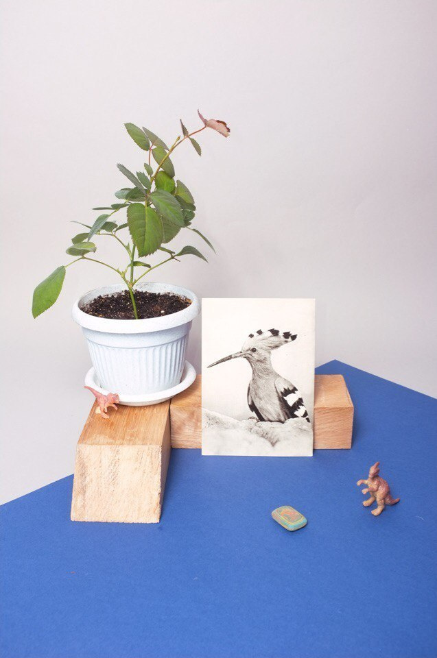 Акцион Кости - это игра на произведения искусства