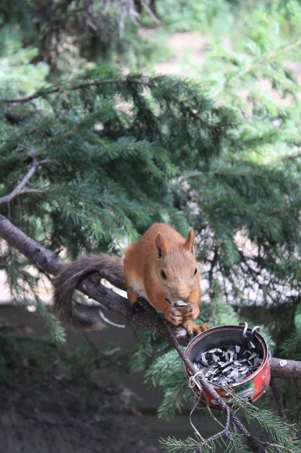 Документальный альманах «Сибиряки — герои России Z», 2023 г. Центр развития кинопроизводства Республики Хакасия