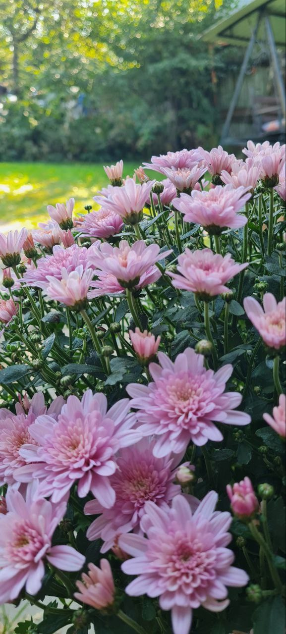 Горячий Ключ (2024-09-20). Собор Отрасли