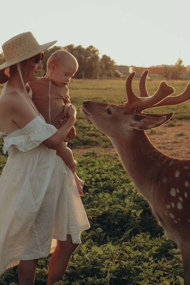 Елена и Матвей. Фотограф Саратов Абрамова Мария