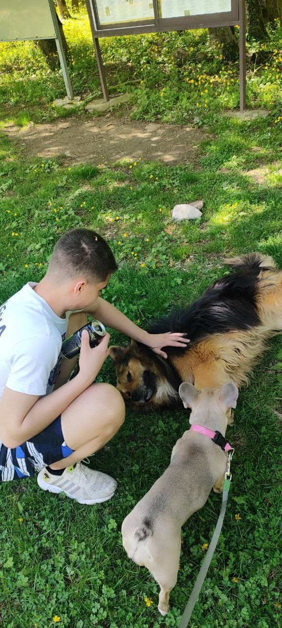 Горы 2025. Собор Отрасли