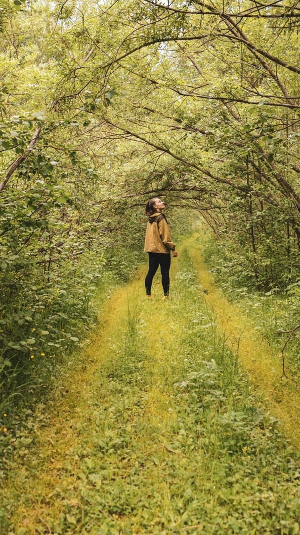Поездка на гору Шудья-Пендыш