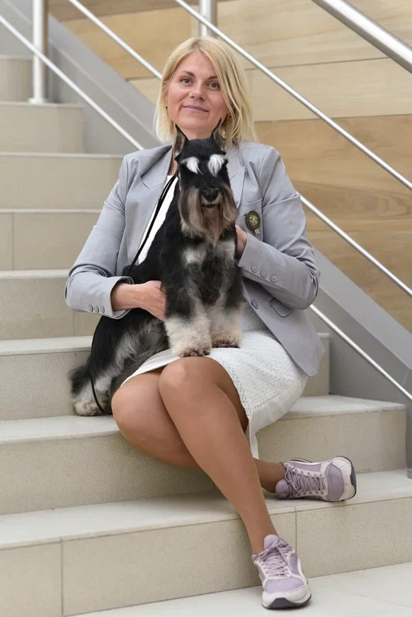 Оскар/Delinso Balance Zaffiro. Питомник цвергшнауцеров в Беларуси «Делинсо Бэлэнс»