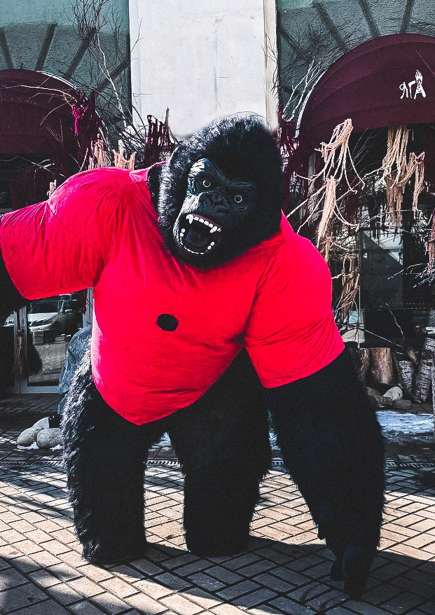 Эксперсс поздравление.ростовые куклы, медведь, панда, горилла. Организатор праздников. Ведущая Марина Гребенникова